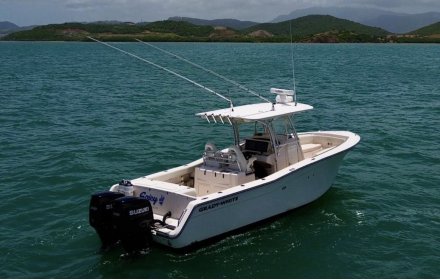 Grady White 306 Bimini